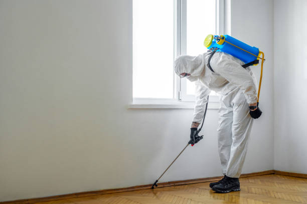 Best Residential Pest Control  in White Hall, IL